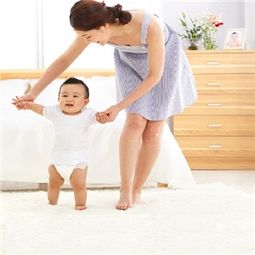 傻大姐家政 產(chǎn)品展示與店鋪裝修設(shè)計(jì)