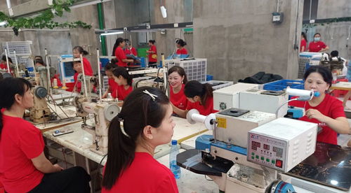 鞋履織就振興路 白沙鎮鞋廠三遷記與家政新風